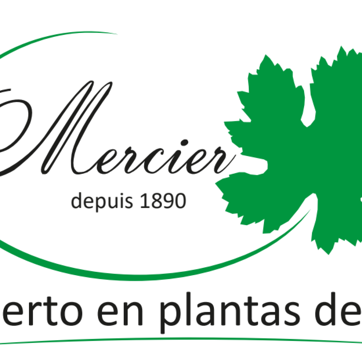 Captura de pantalla 2024-05-11 155536