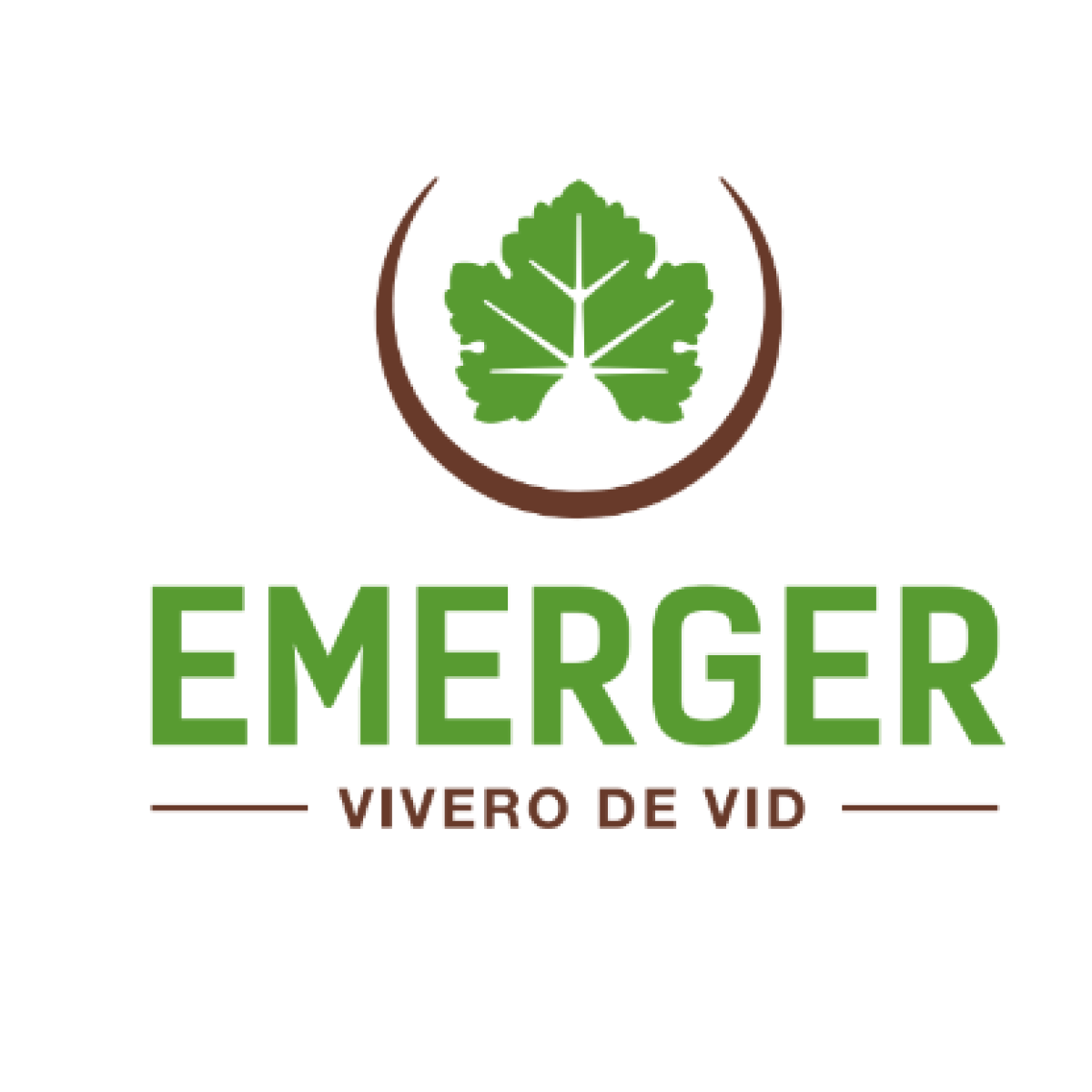 Captura de pantalla 2024-05-12 184808