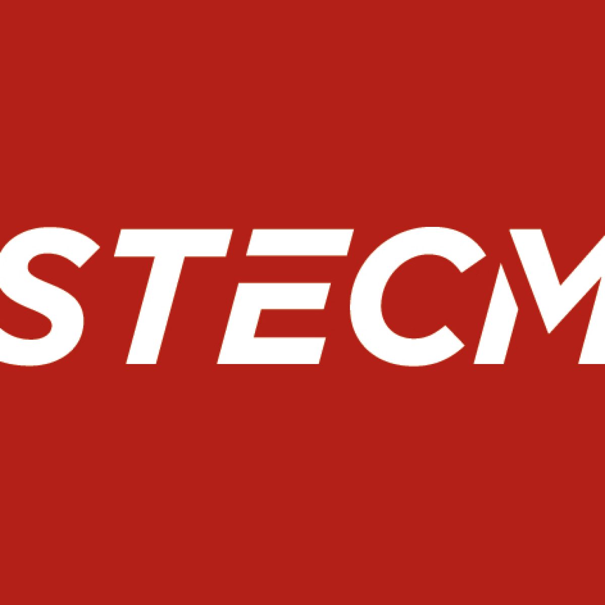 ESTECMA-LO-FF-01-rojo-01 - copia - ESTECMA SA Agustín Toledo