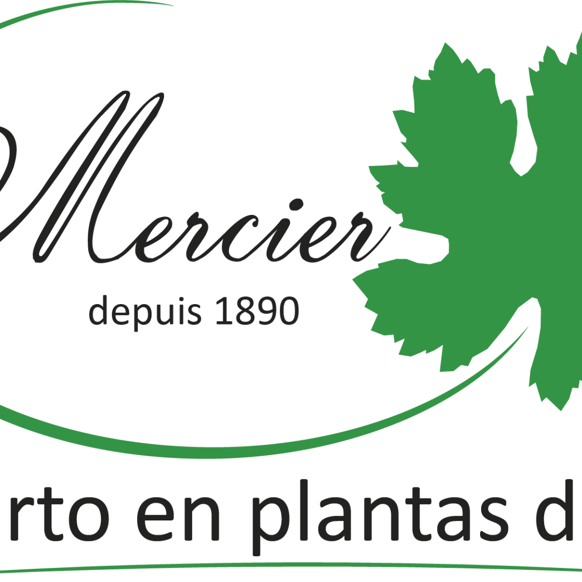 Marca Mercier - Roxana González