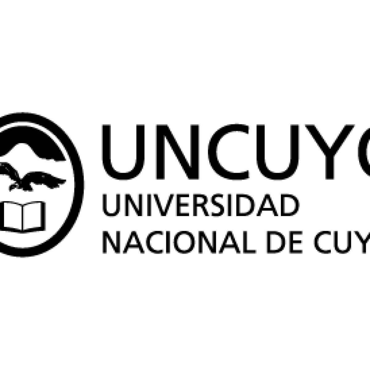 Sponsors 2026-6 UNCuyo