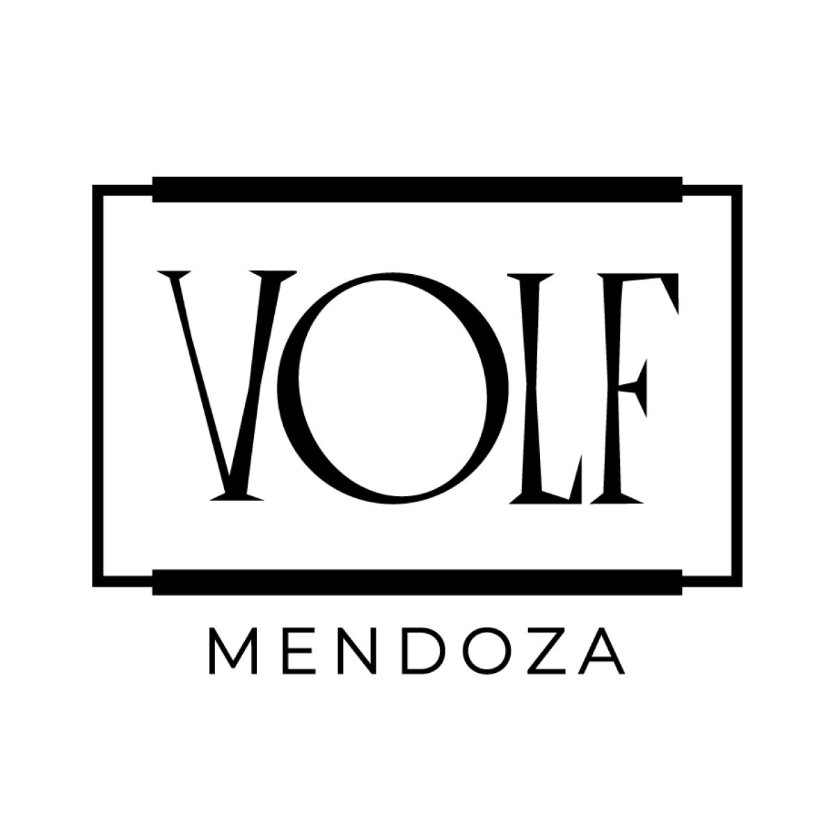 Volf mendoza 2025q-01.jpg