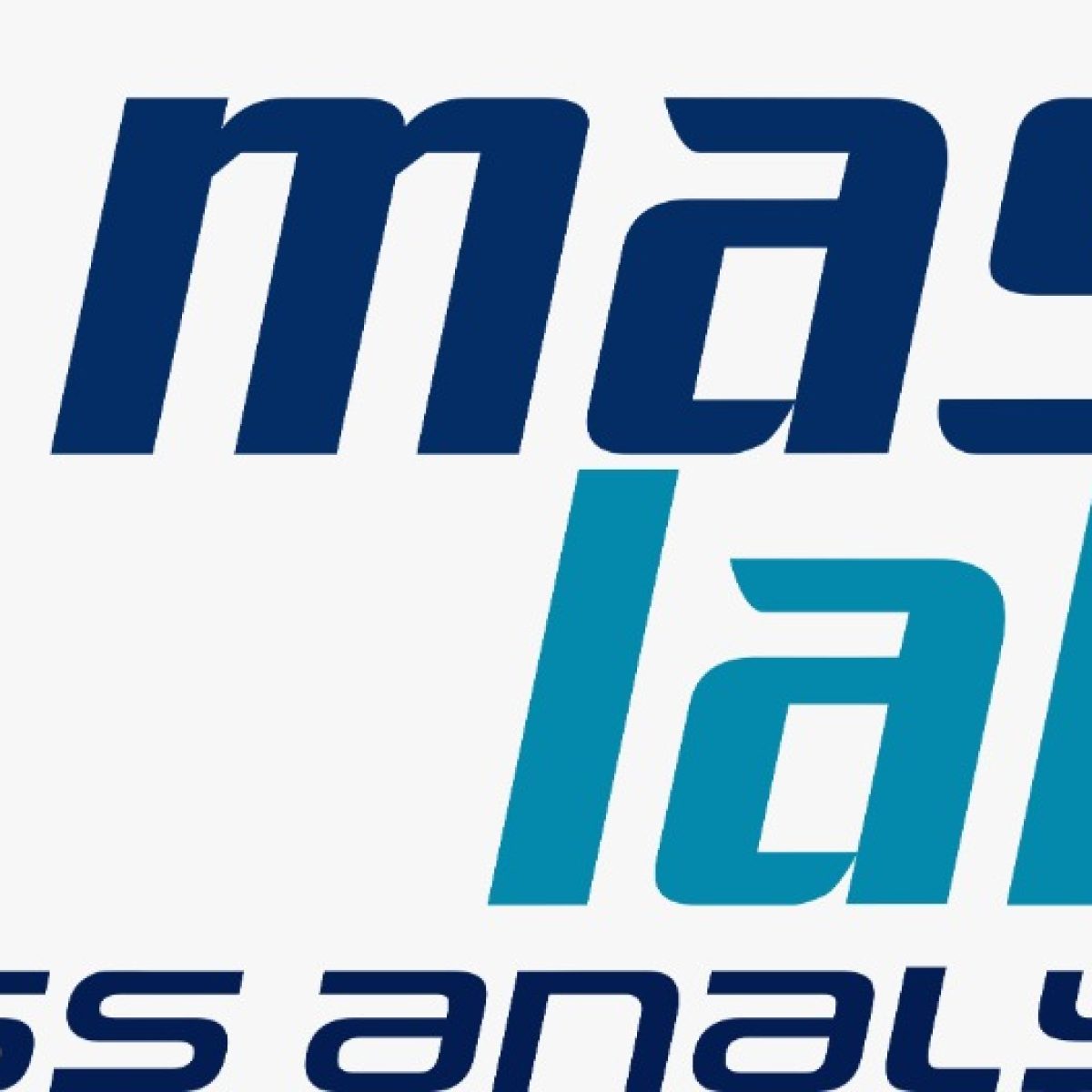 WhatsApp Image 2024-05-08 at 13.16.41