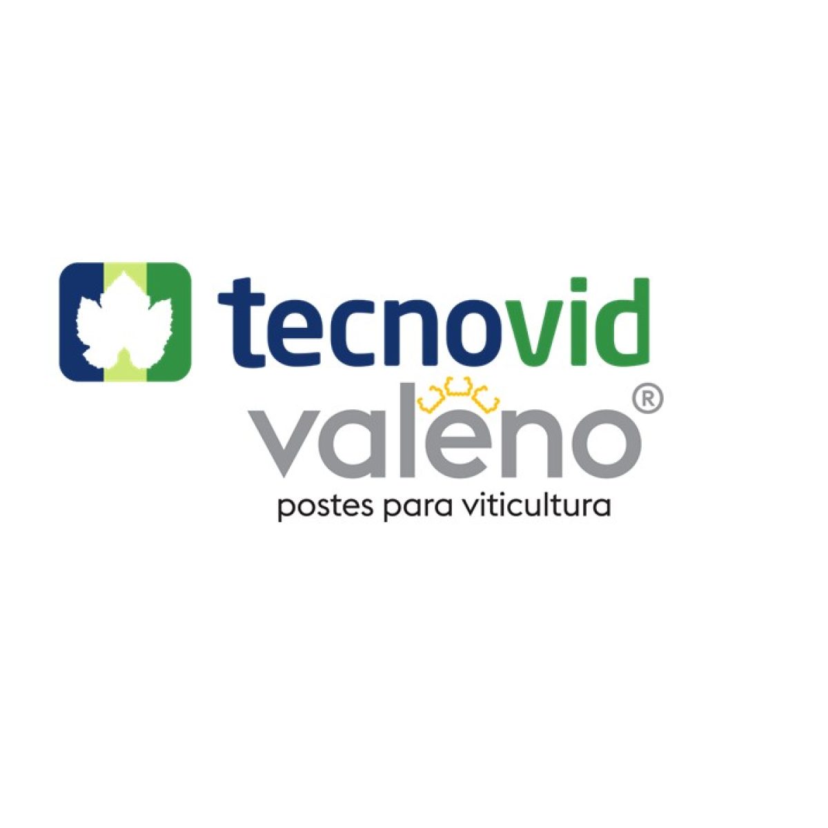 teconvid-valeno.jpg